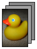 [Duckie]