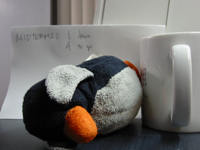 [cam_00023.JPG]