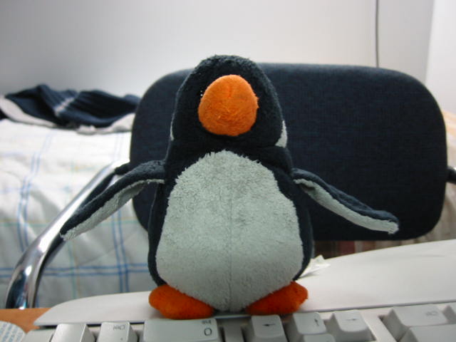 [cam_00024.JPG]