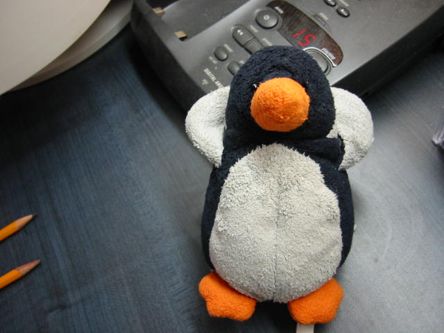 [cam_00025.JPG]