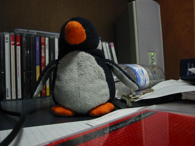 [cam_00028.JPG]