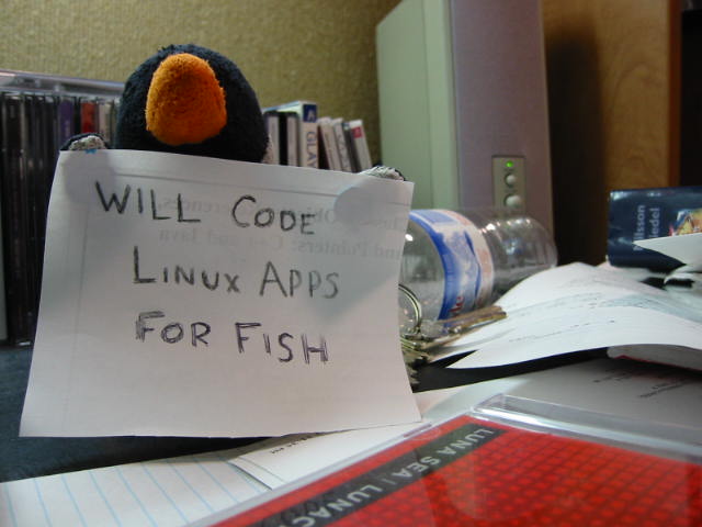[cam_00029.JPG]