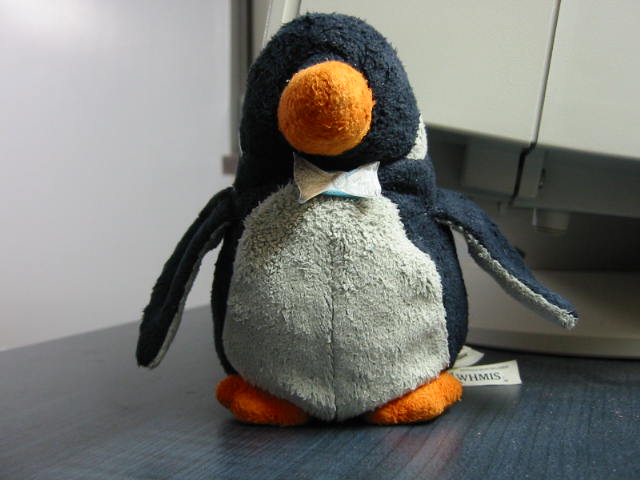 [cam_00030.JPG]
