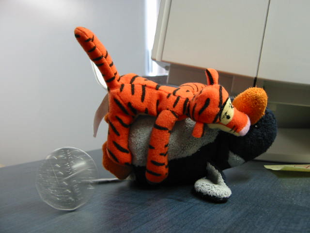 [cam_00031.JPG]