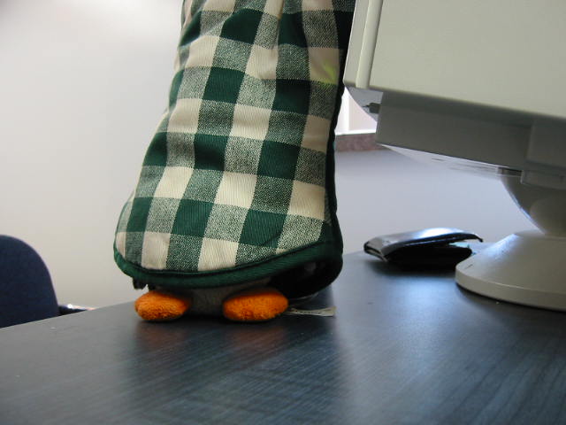 [cam_00032.JPG]