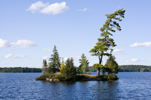 [200909-algonquin-17.jpg]