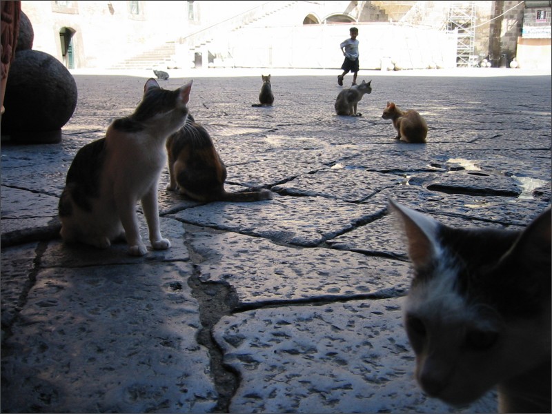 [111-1191_img.jpg]