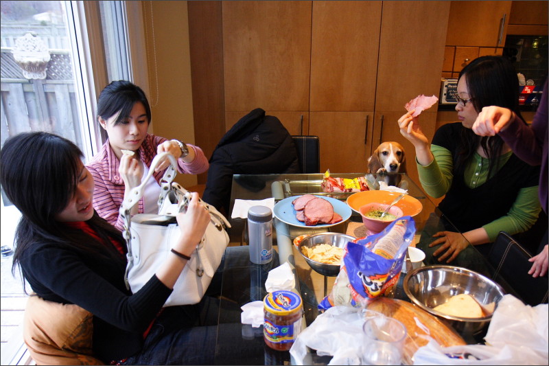 [IMG_350D_7378.JPG]