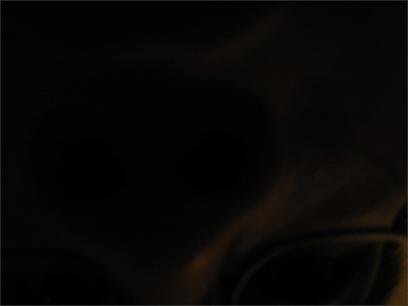 [110-1047_img.jpg]