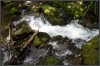 [IMG 350D 5273]