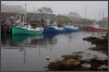[IMG 350D 5690]