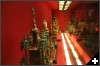[IMG 350D 0486]