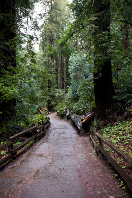 [california-trip-18.jpg]