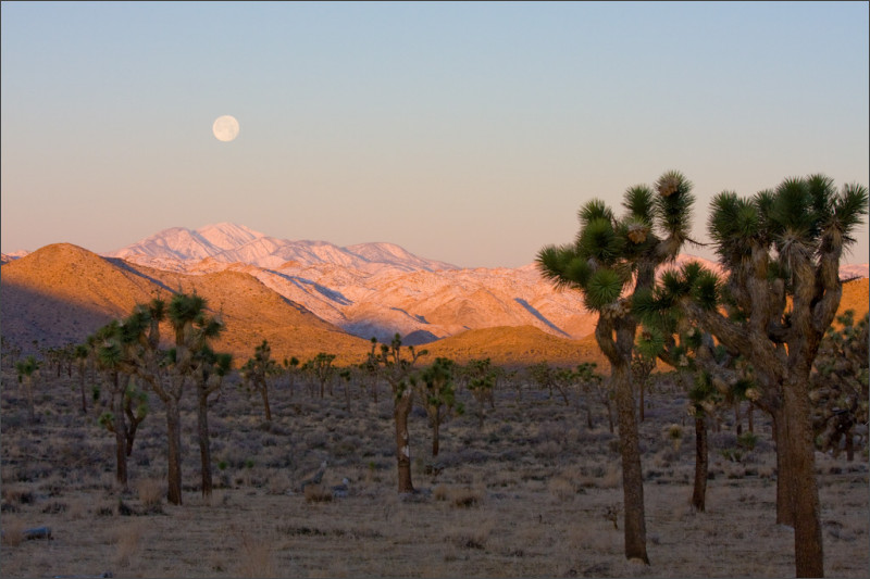 [california-trip-3.jpg]
