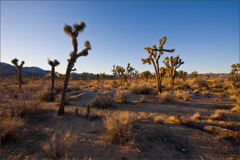 [california-trip-4.jpg]