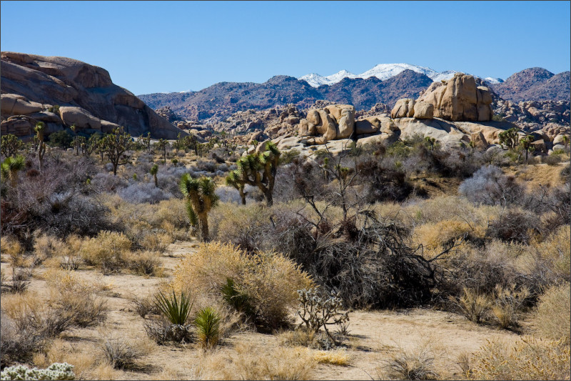 [california-trip-6.jpg]