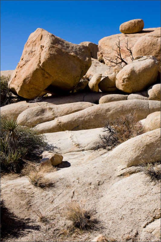 [california-trip-7.jpg]
