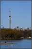 [IMG 350D 9598]