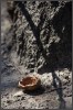 [IMG 350D 9337]