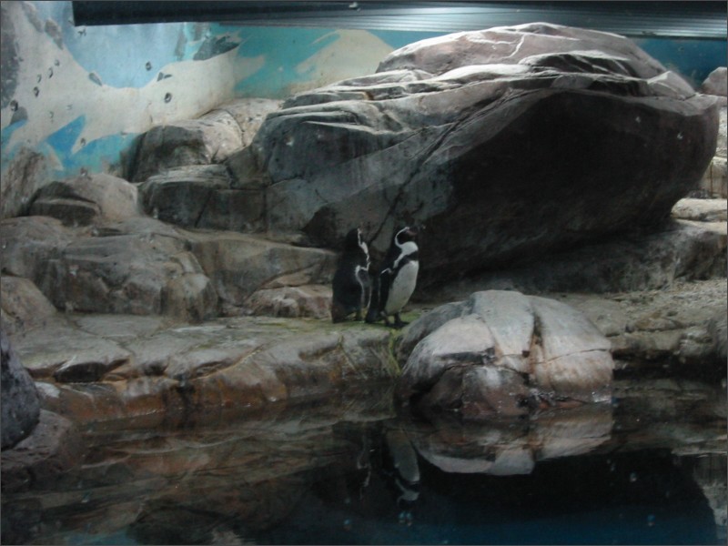 [132-3254_IMG.JPG]