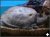 [ACM 05 02 0047]