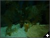 [ACM 05 02 0060]