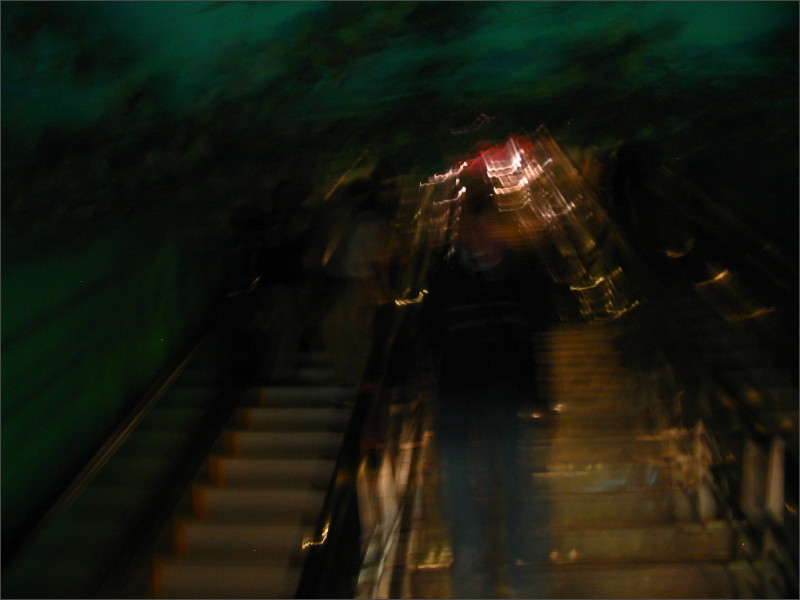 [IMG_3626.JPG]